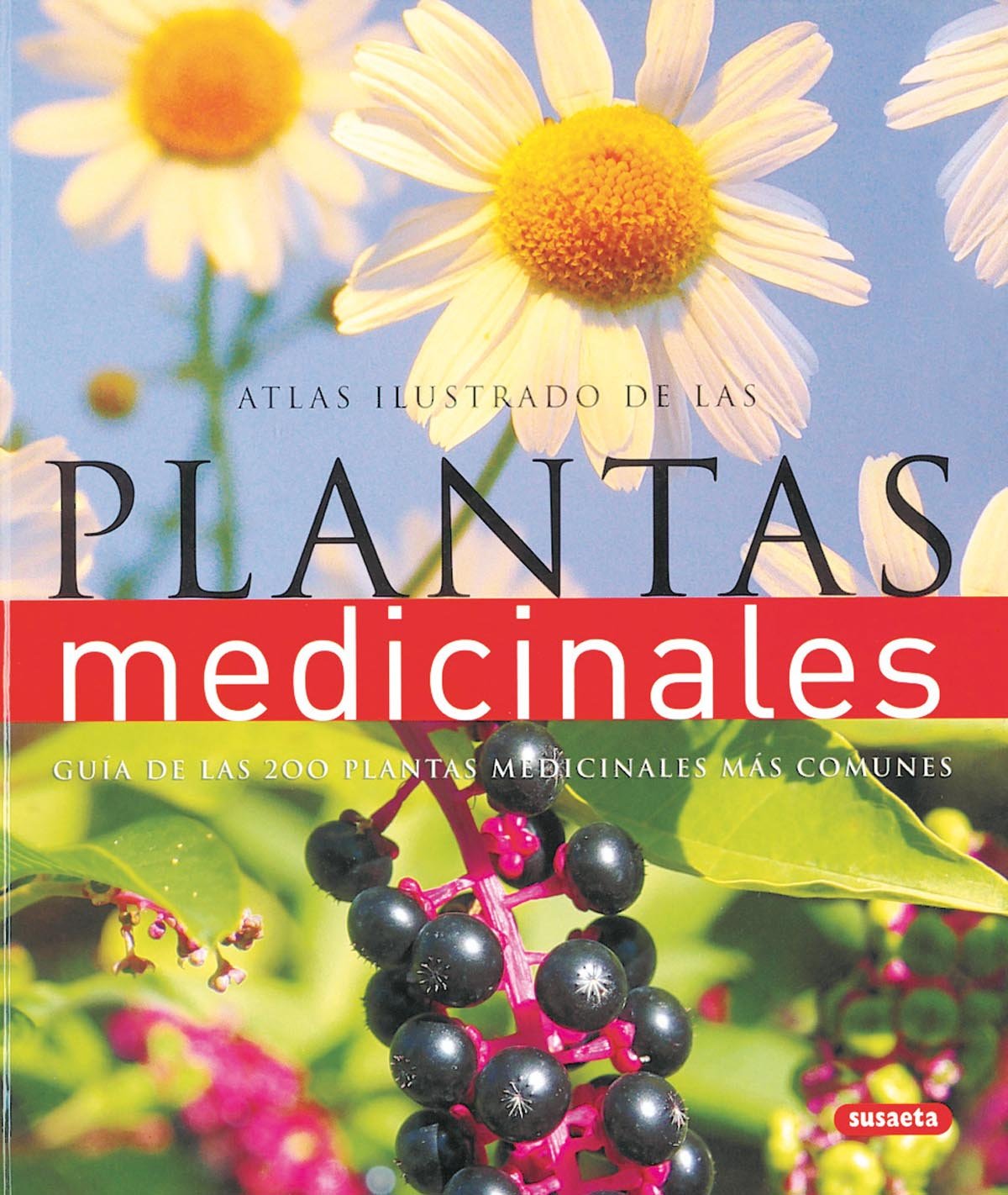 Atlas ilustrado de las plantas medicinales / The Complete Family Guide to Holistic Herbal 9788430563708