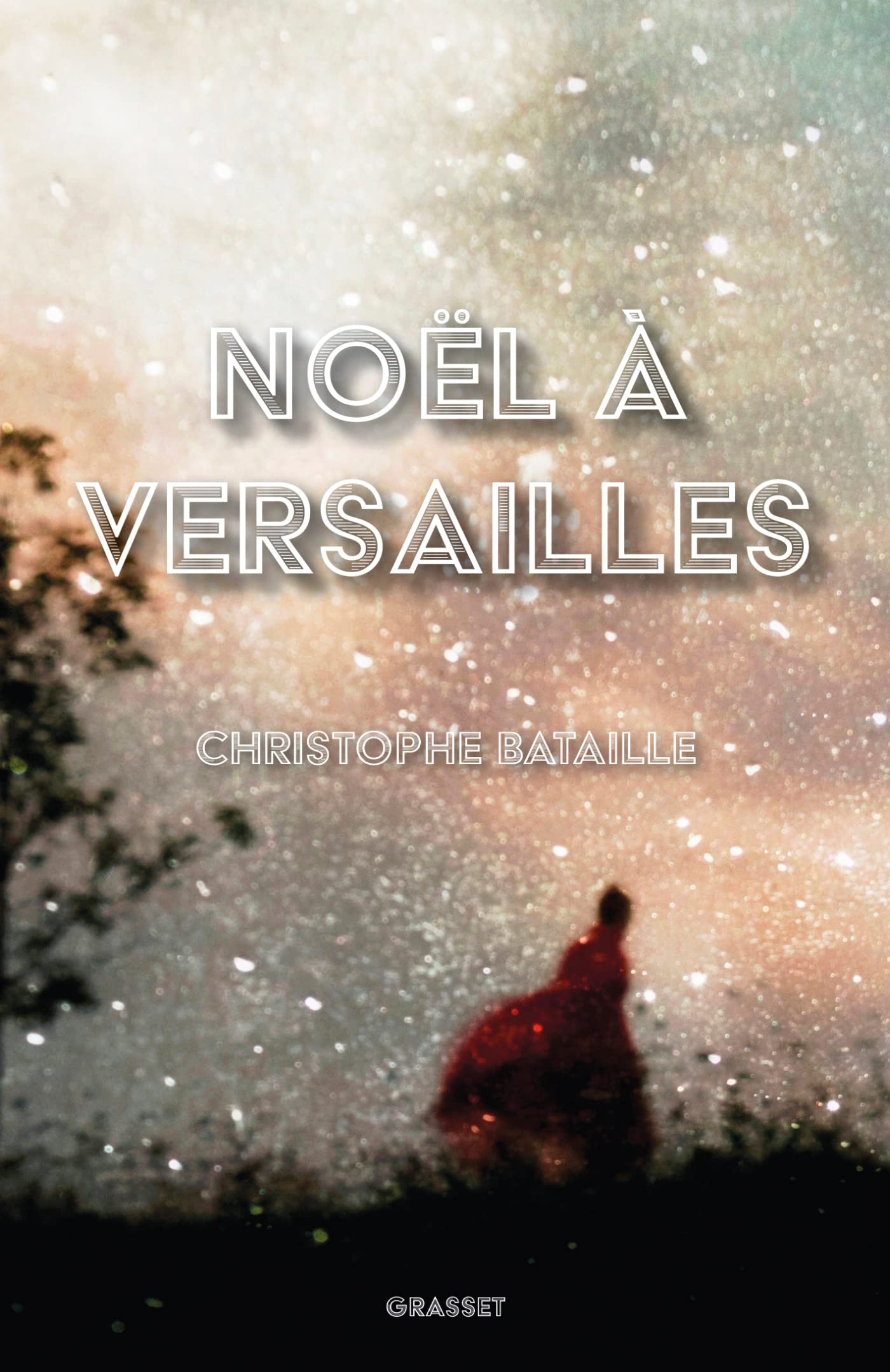 Noël à Versailles 9782246831549