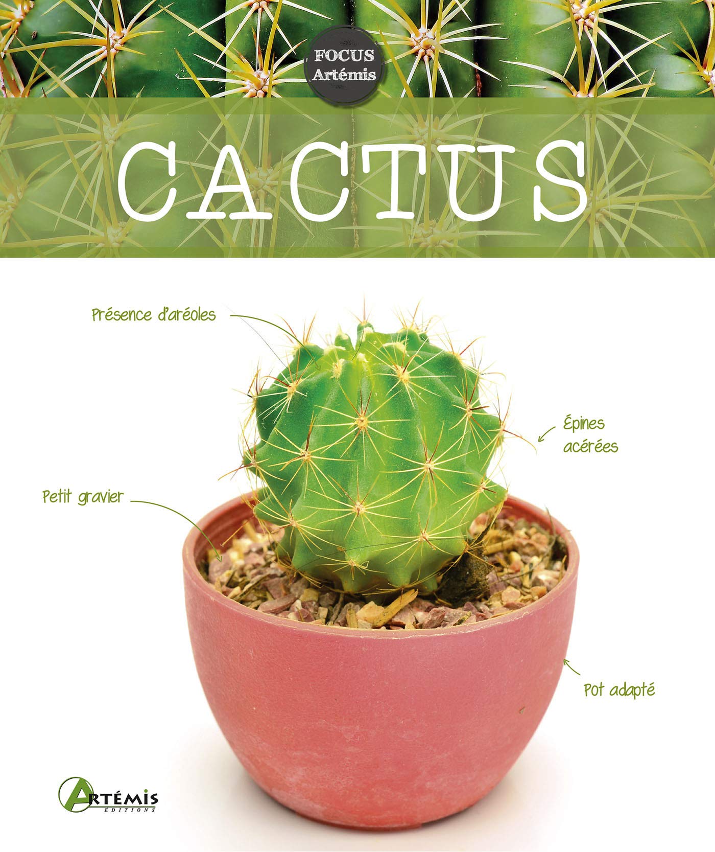 Cactus 9782816014327