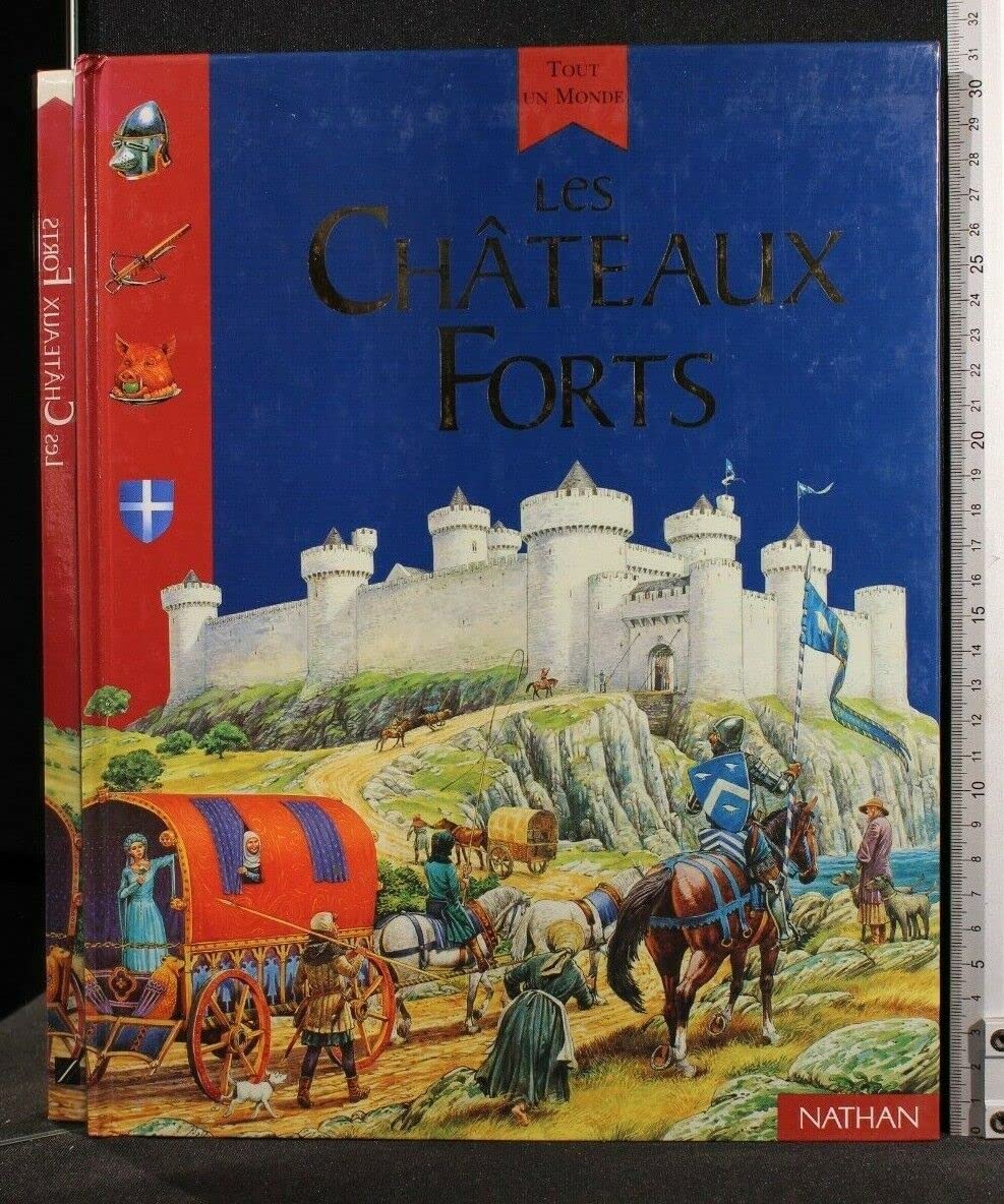 Les Châteaux forts 9782092403235