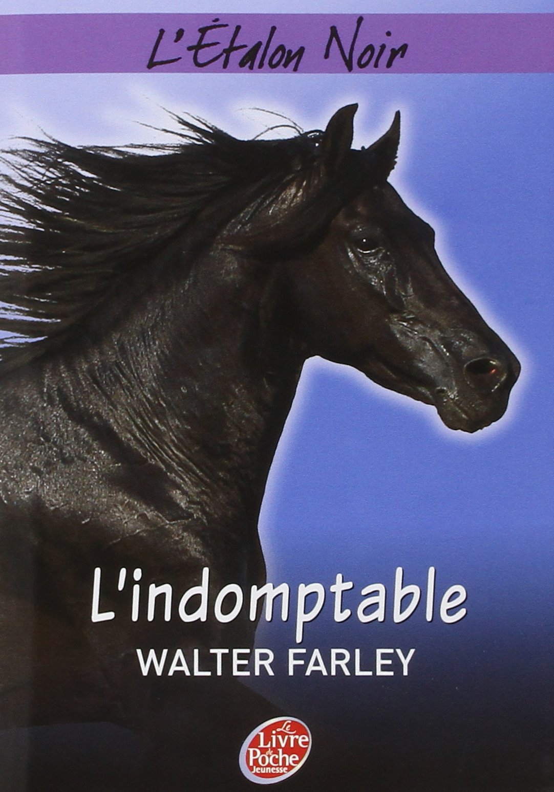 L'étalon noir - Tome 1 9782013225762