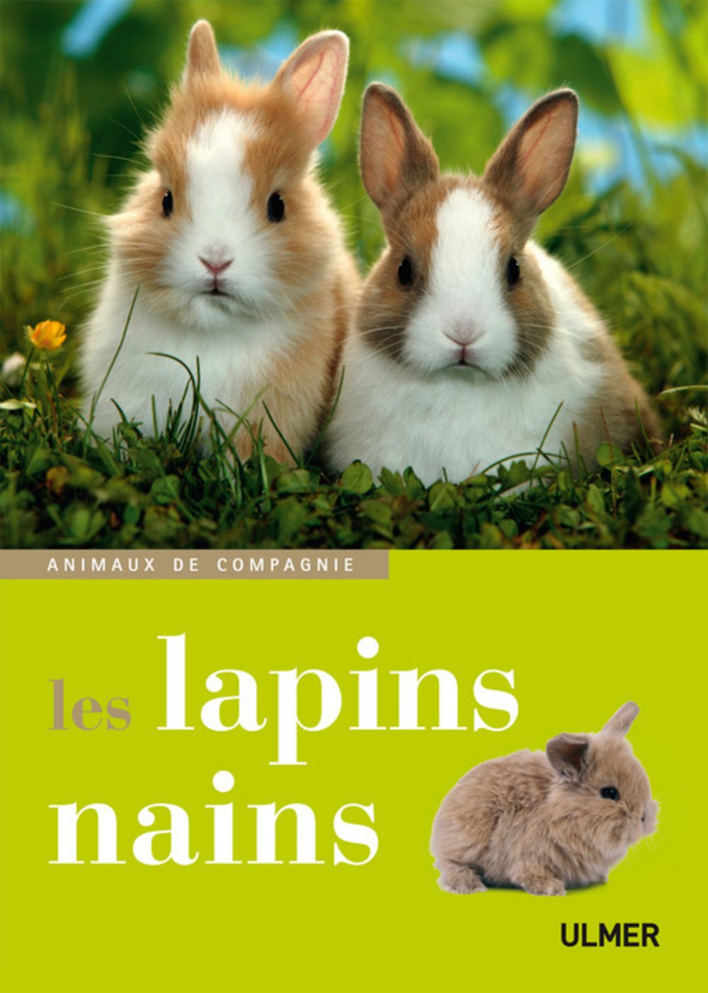 Les lapins nains 9782841384242