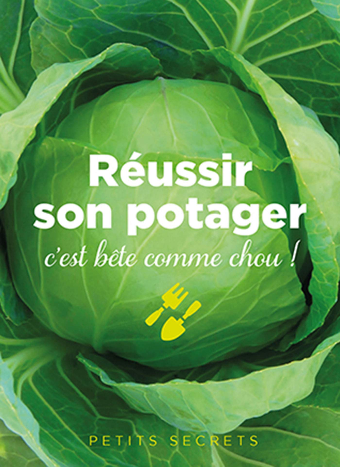 Reussir son potager c est bete comme choux 9782809506037