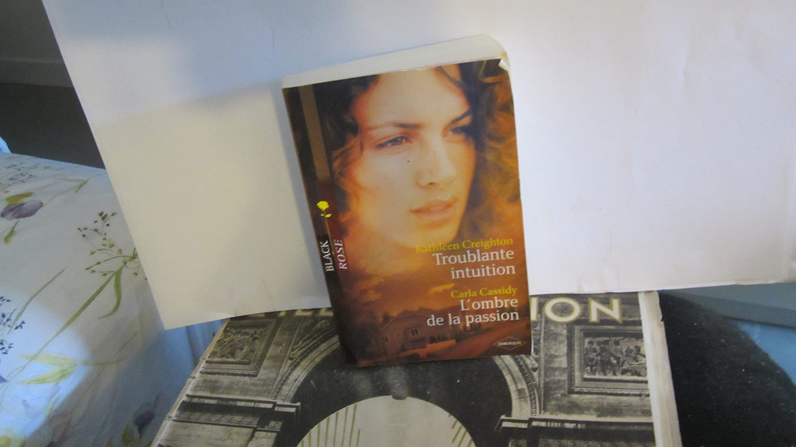 Troublante intuition ; L'ombre de la passion 9782280222105