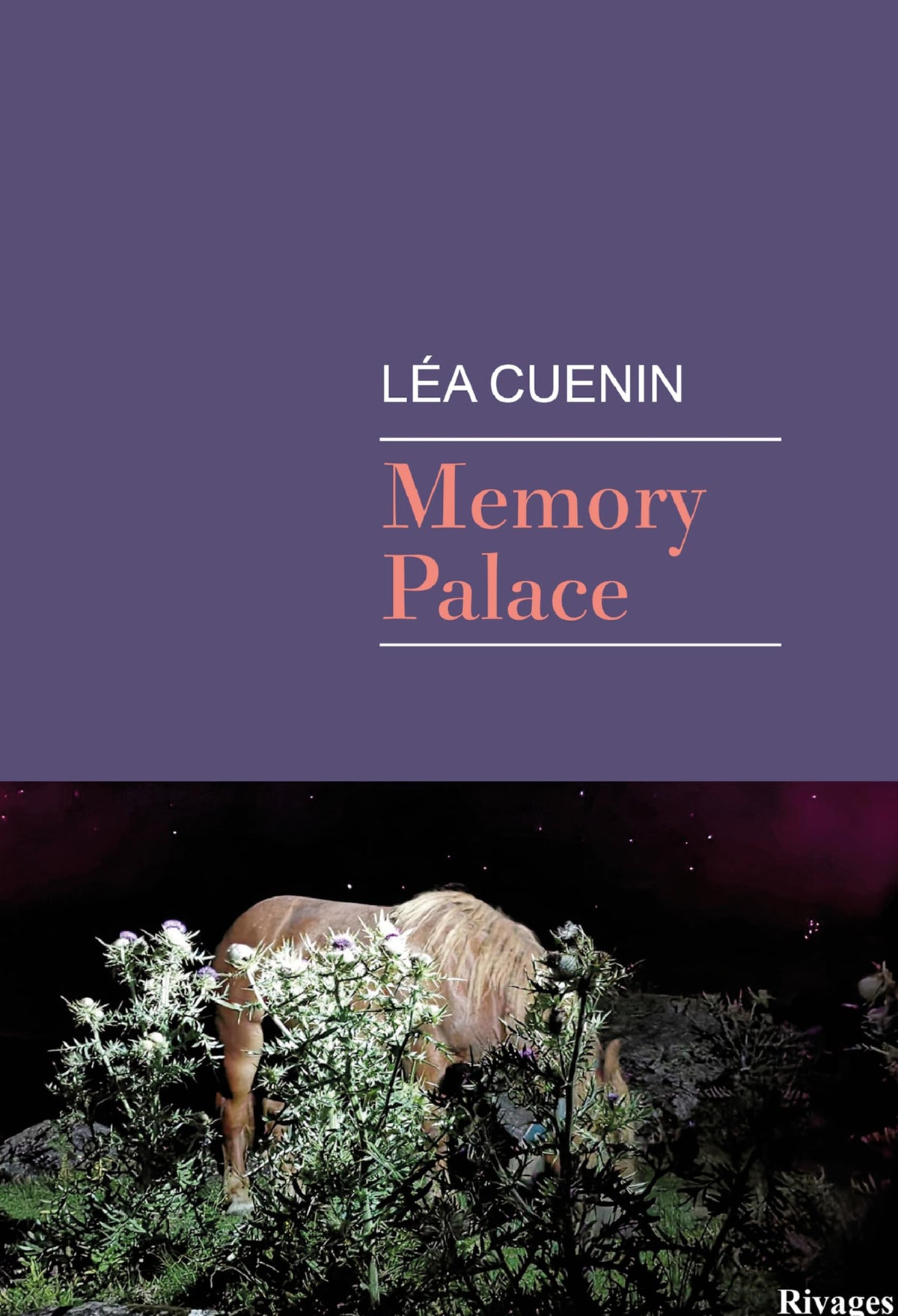 Memory Palace 9782743669133