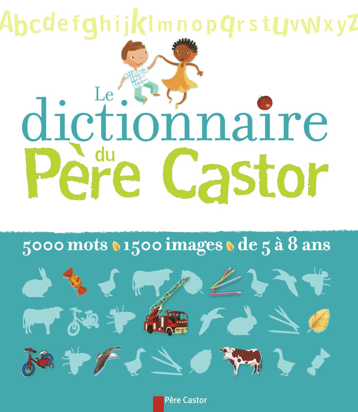 Le dictionnaire du Père Castor 9782081620957