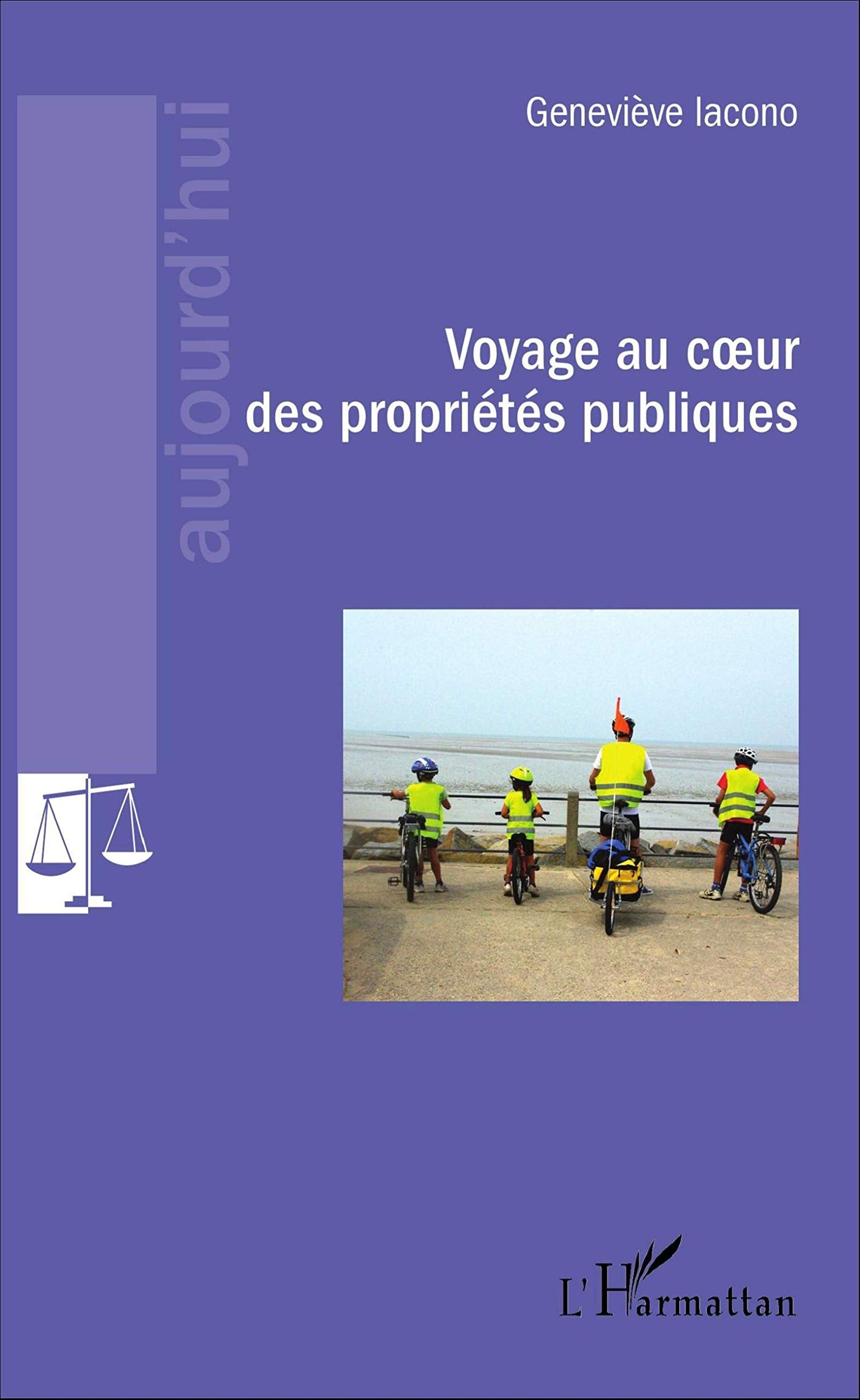 Voyage au coeur des propriétés publiques 9782343104959