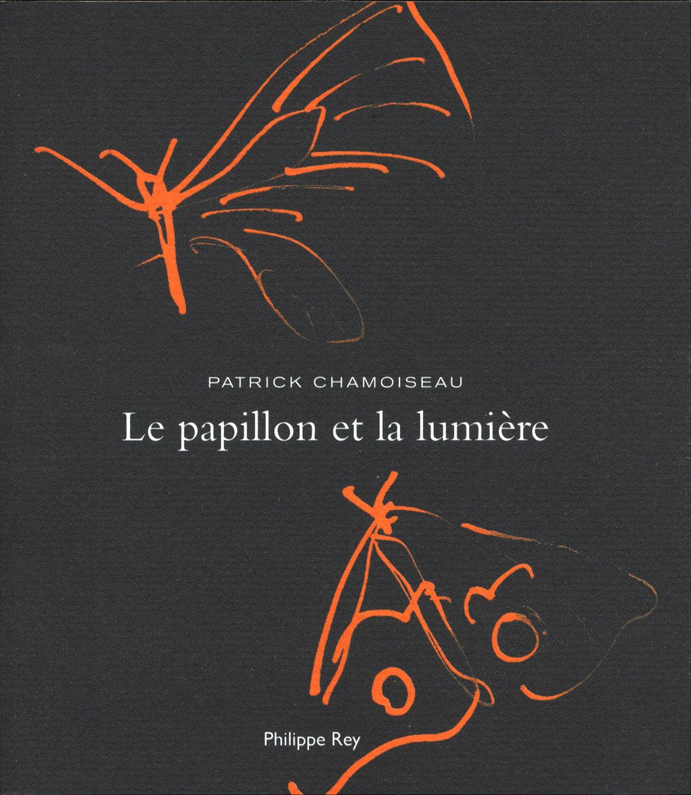 Le Papillon et la lumière 9782848761961