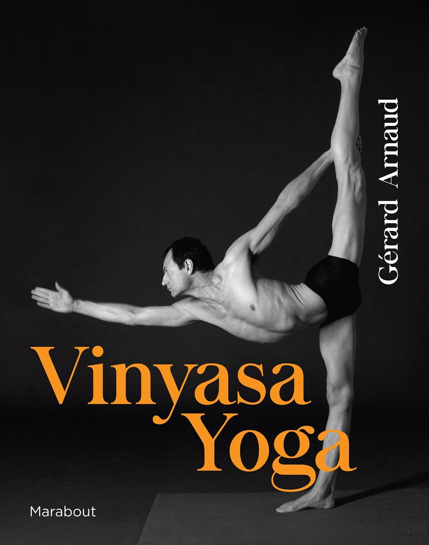 Vinyasa yoga 9782501118064