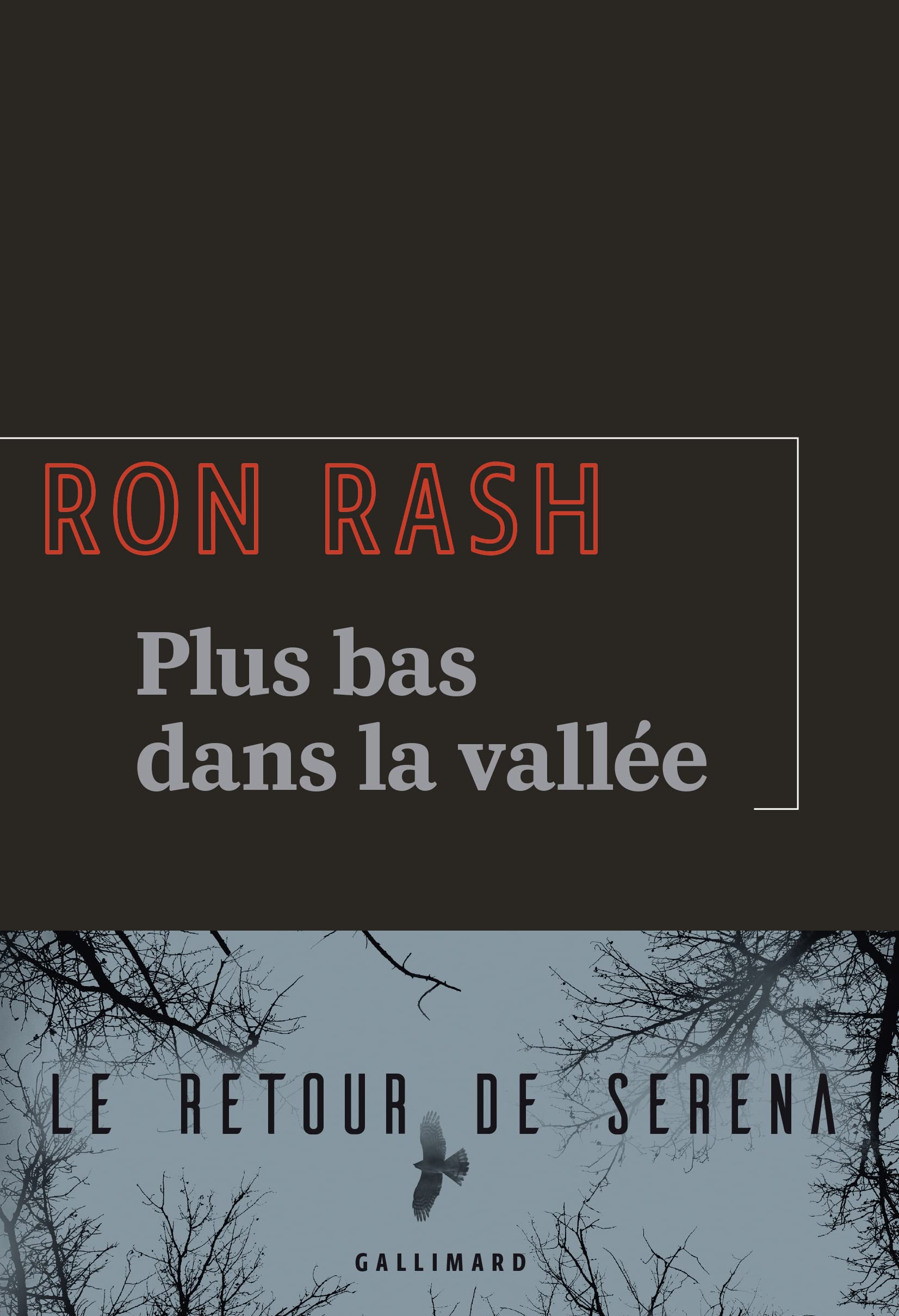 Plus bas dans la vallée 9782072960437
