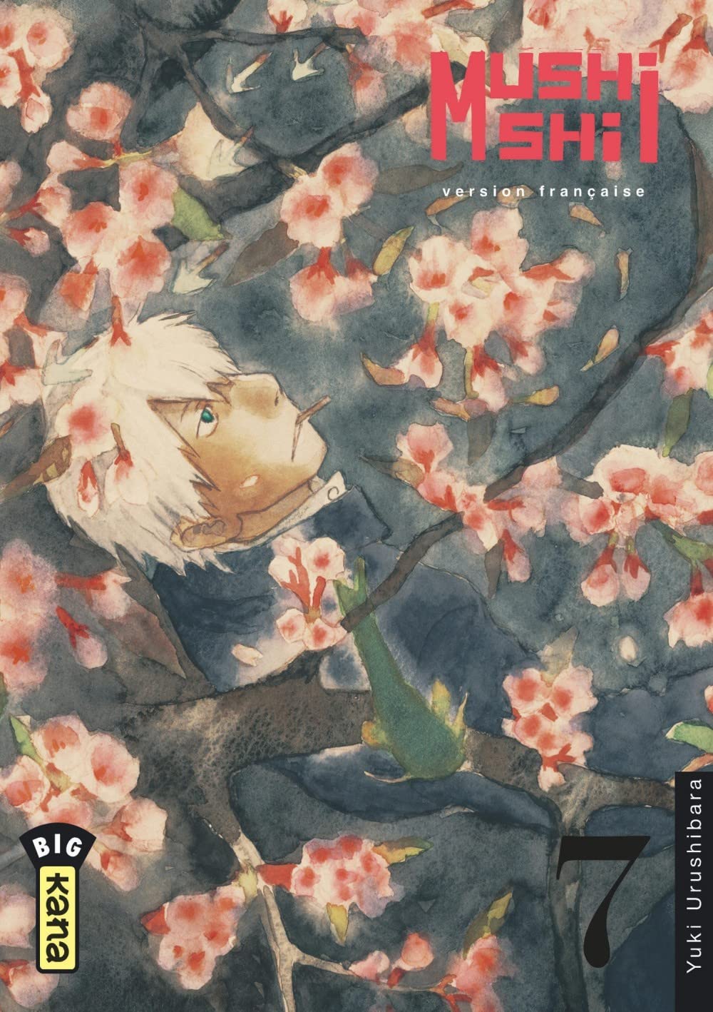Mushishi - Tome 7 9782505003342