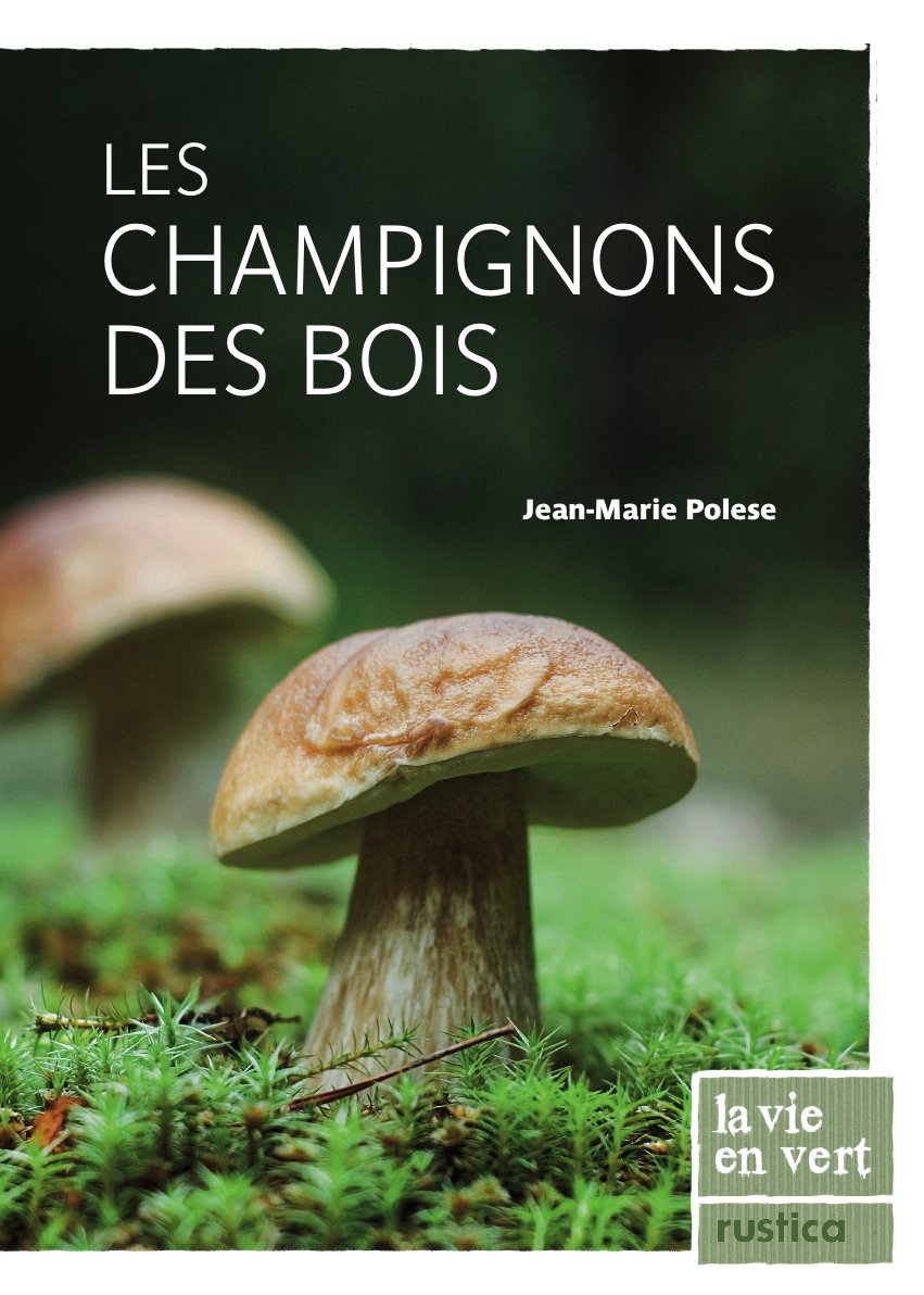 Les champignons des bois 9782840389767