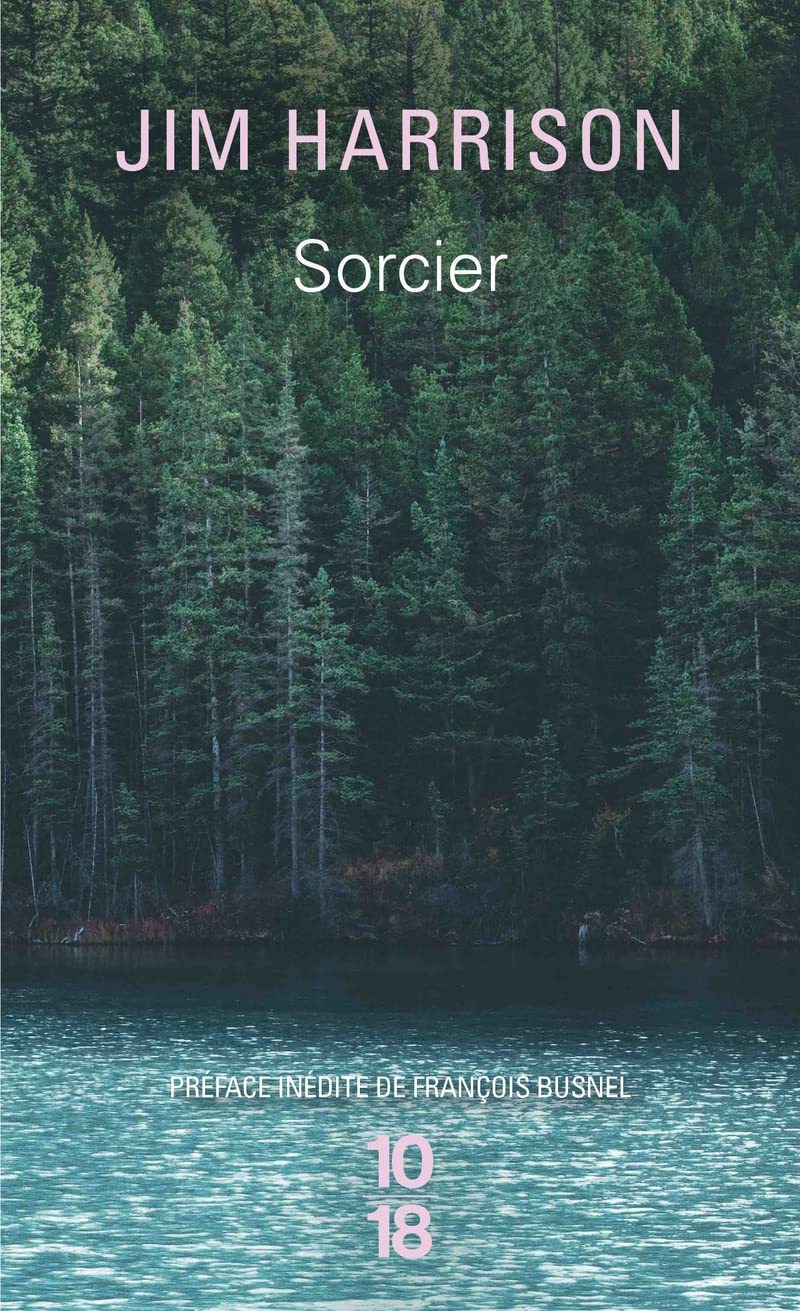 Sorcier 9782264025609