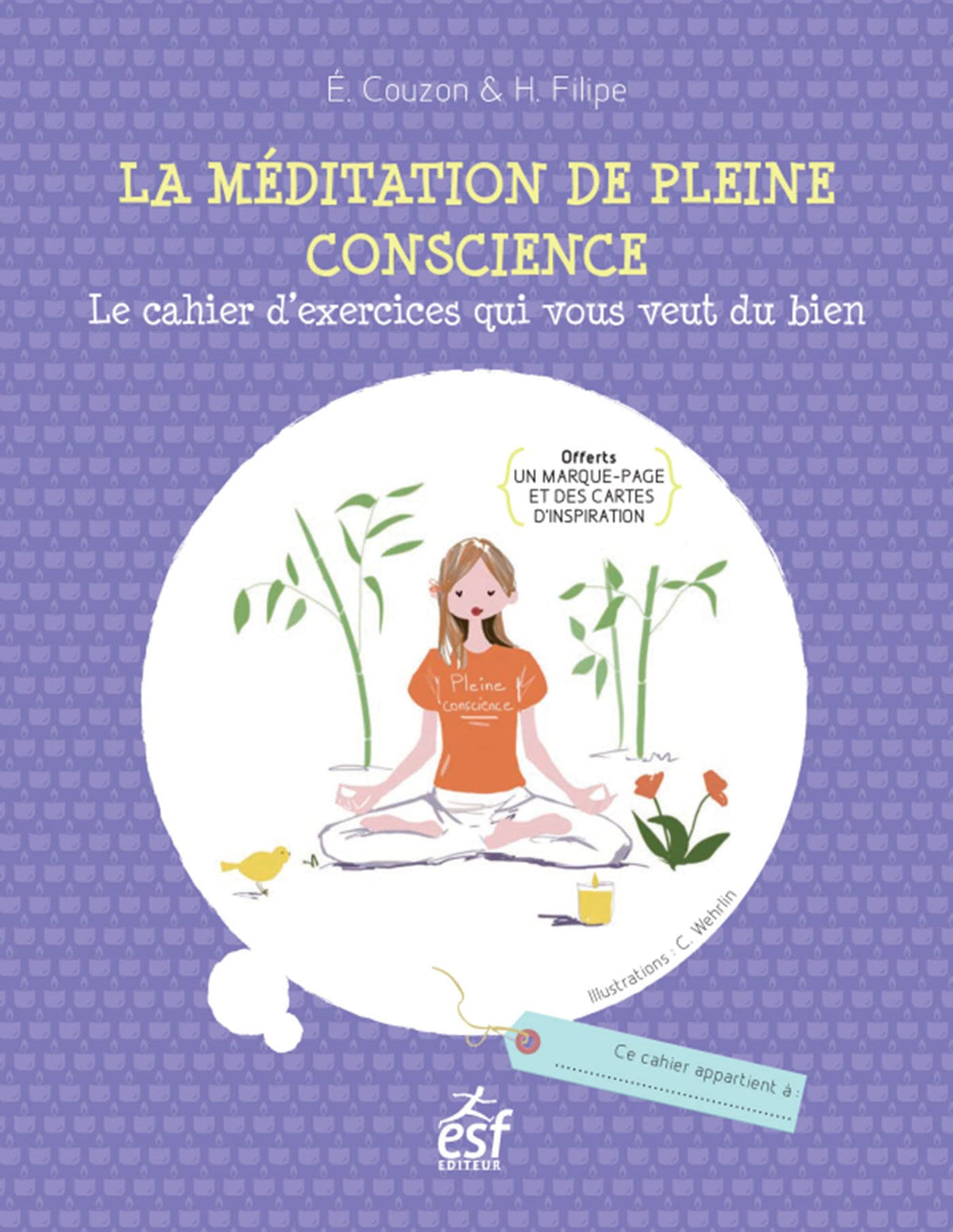 La meditation de pleine conscience ned 9782810415939