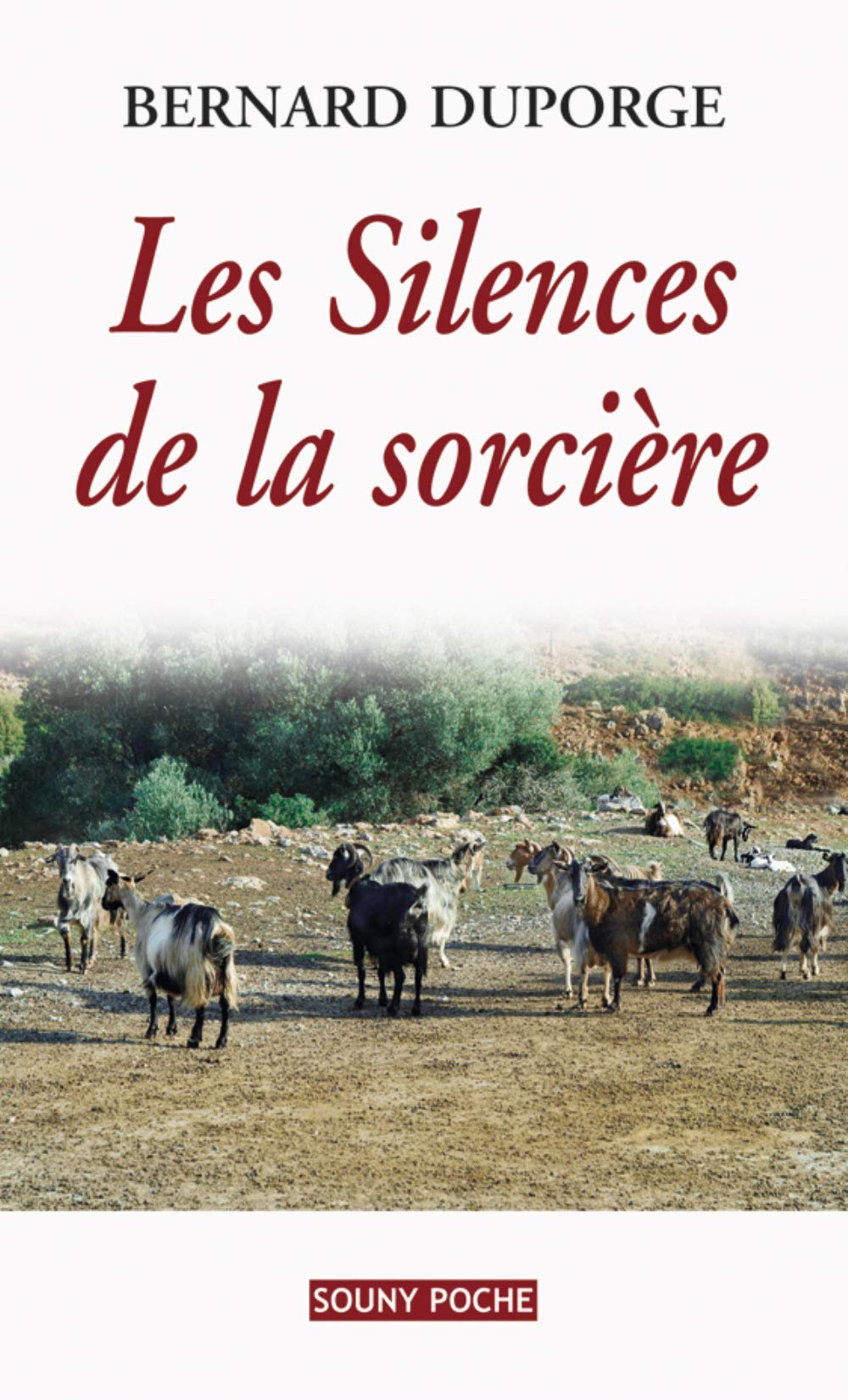 LES SILENCES DE LA SORCIERE 9782848865430