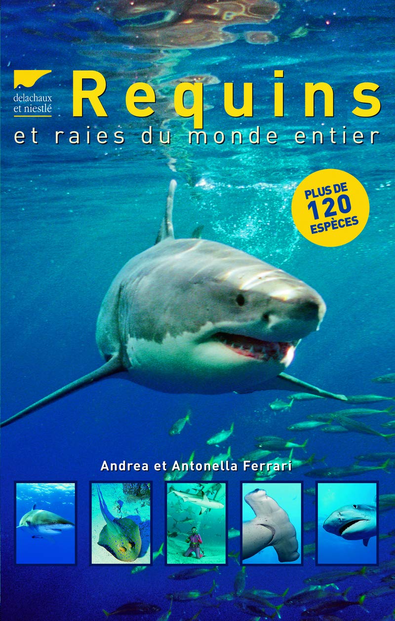 Requins et raies du monde entier 9782603016756