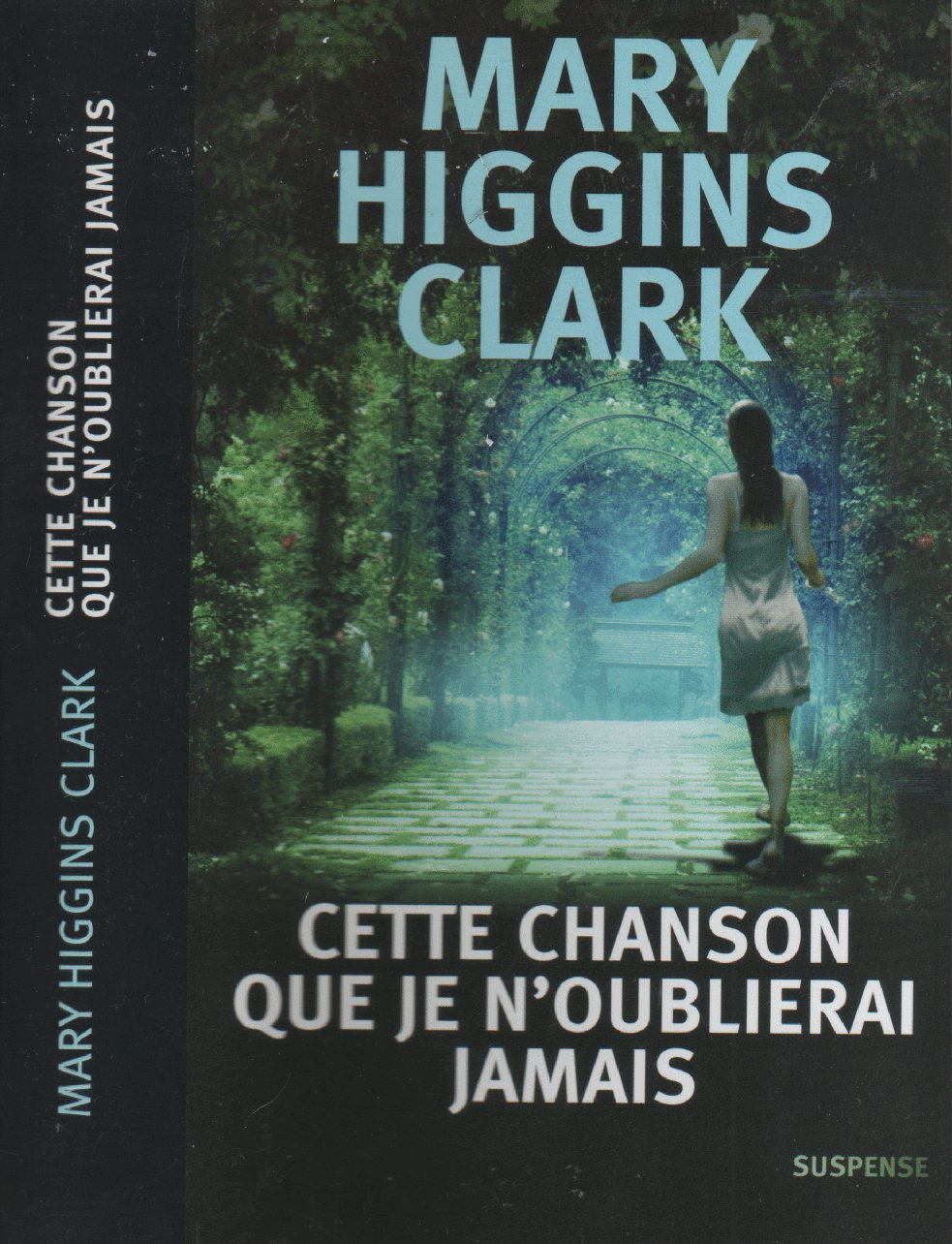 Cette chanson que je n'oublierai jamais 9782298008425