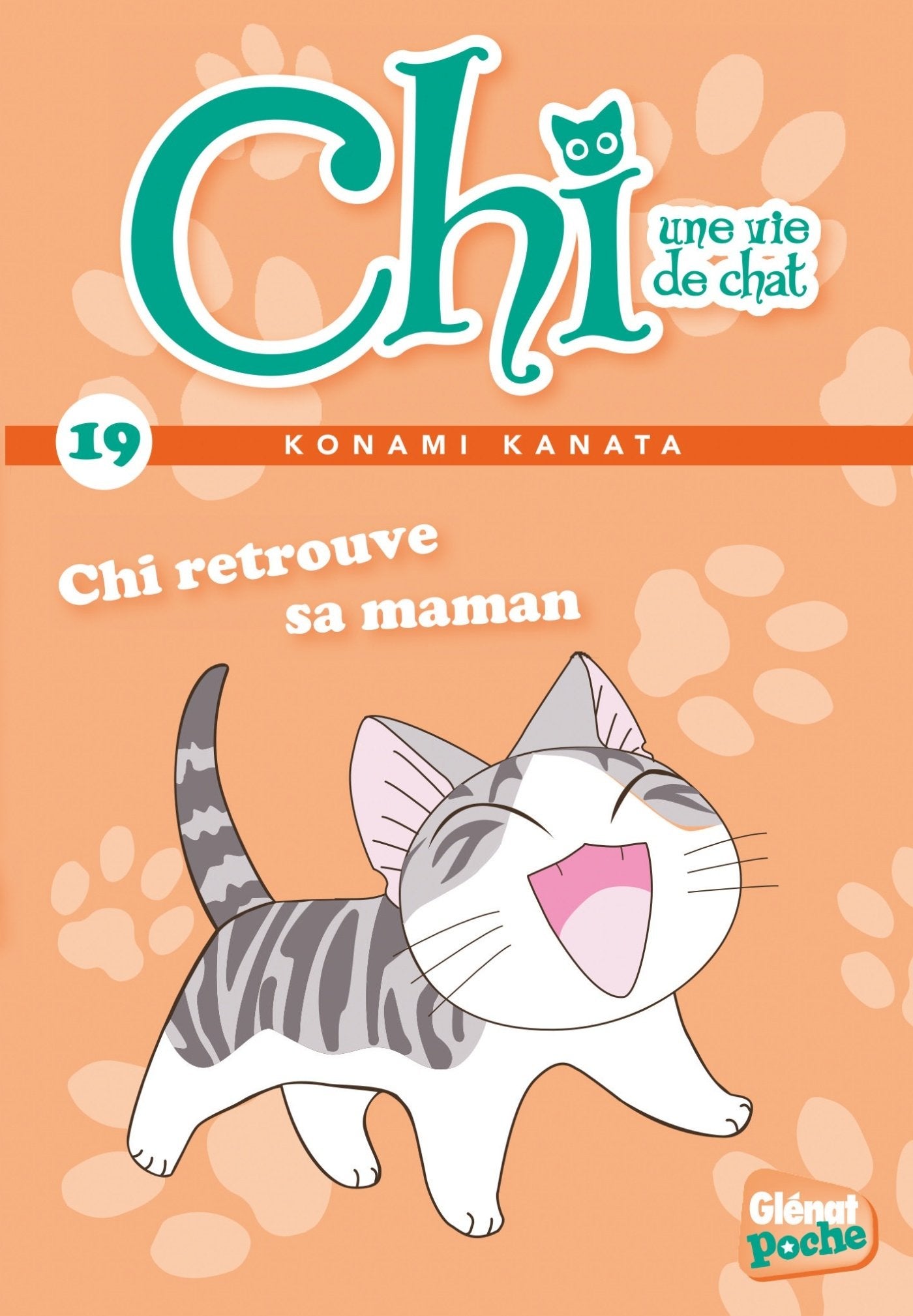 Chi - Poche - Tome 19: Chi retrouve sa maman 9782344018583
