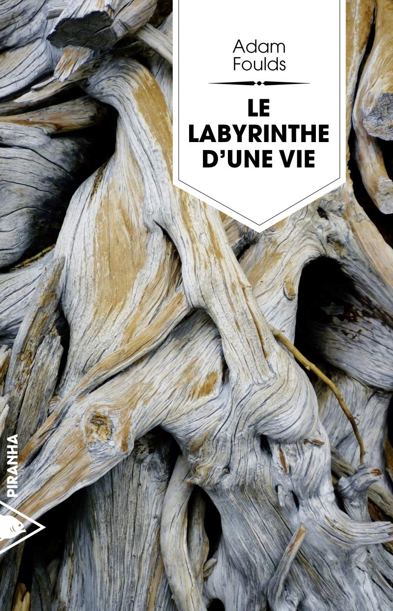 Le labyrinthe d'une vie 9782371190627