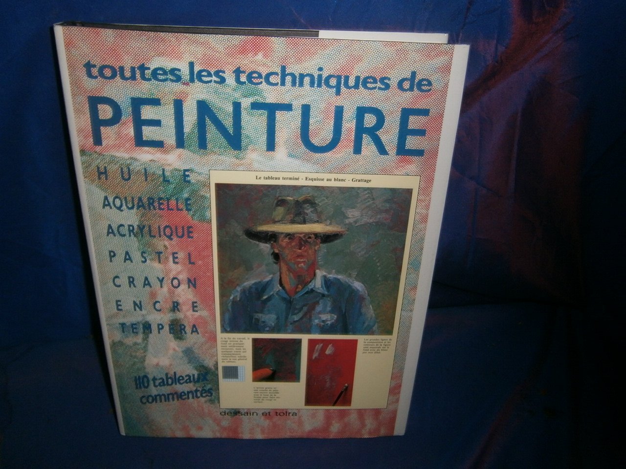 Toutes les techniques de peinture: En plus de 110 tableaux commentés 9782249250293