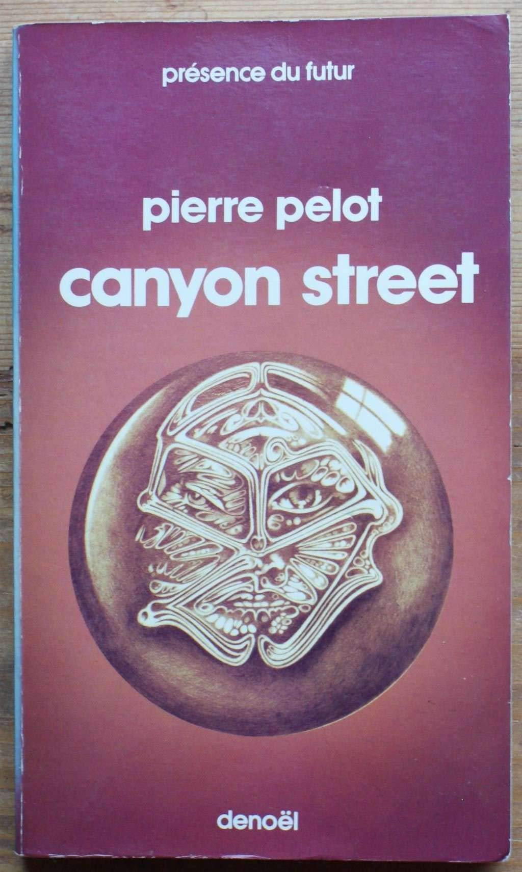Canyon street. collection presence du futur n° 264.