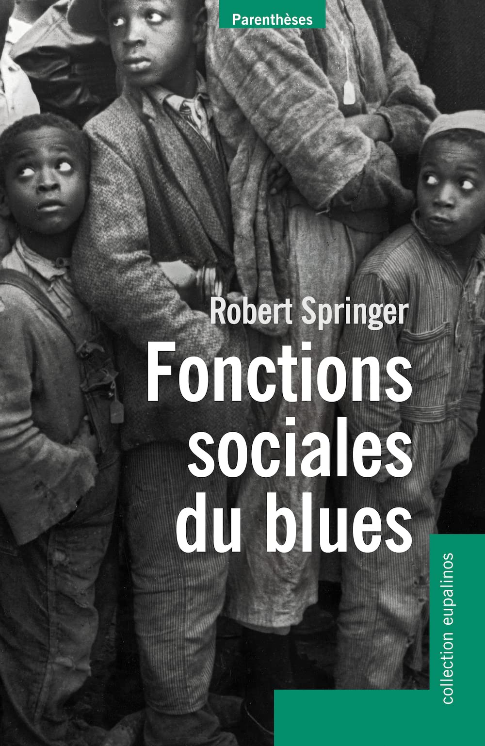 Fonctions sociales du blues 9782863646137