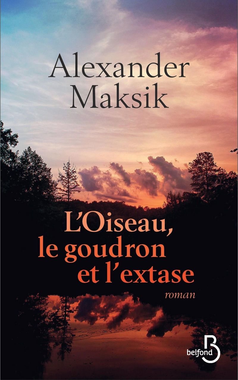 L'Oiseau, le goudron et l'extase 9782714475992