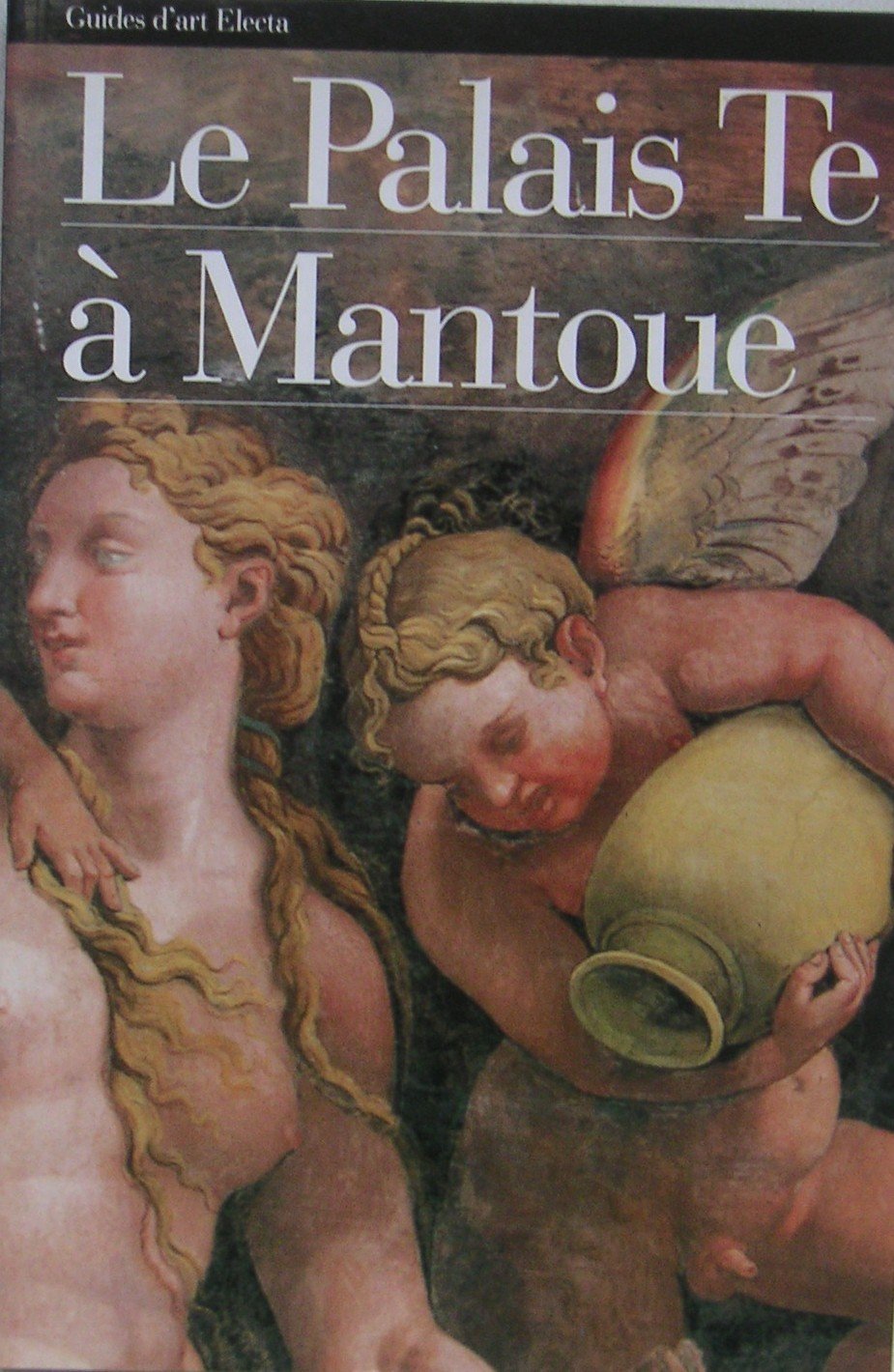 Le Palais Te A Mantoue 9788843535125
