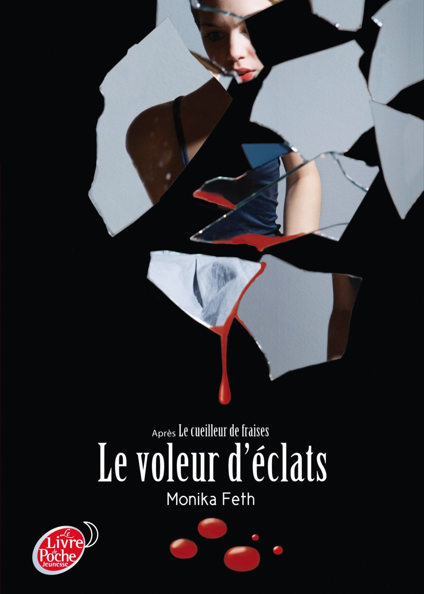 Le voleur d'éclats 9782013230292