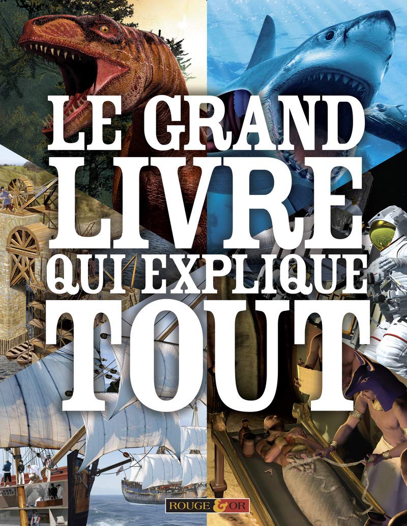 Le grand livre qui explique tout 9782261404407