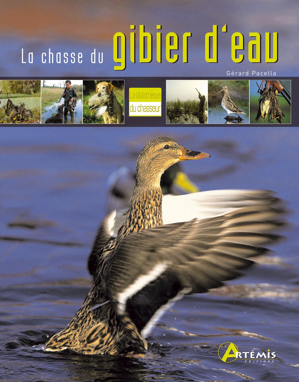 LA CHASSE DU GIBIER D EAU 9782844167149