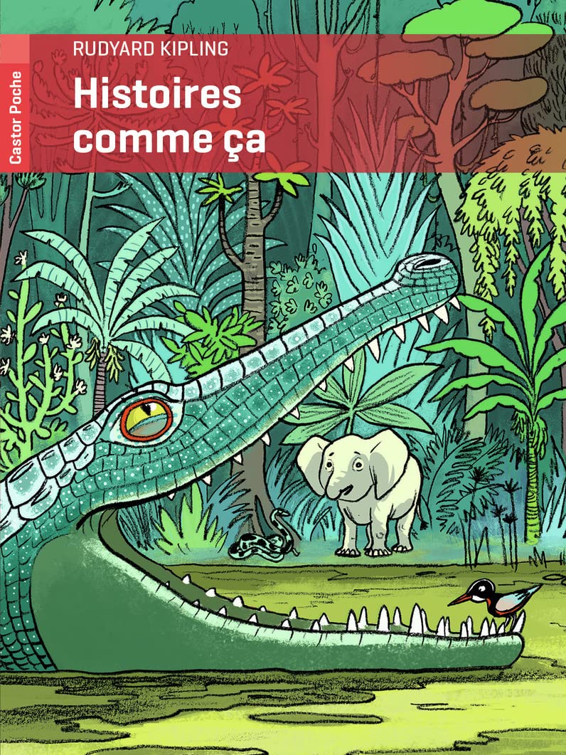Histoires comme ça 9782081265691