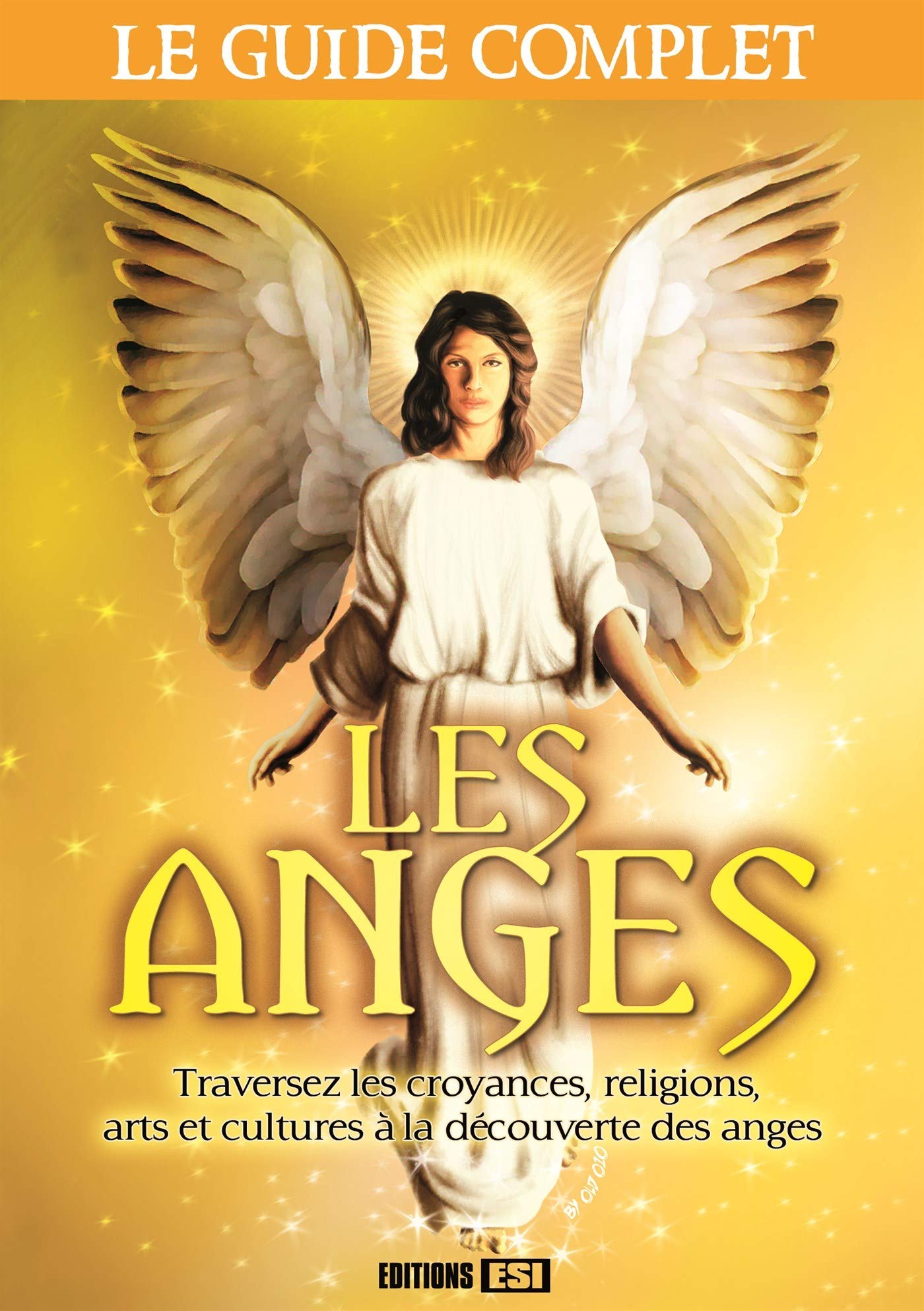 anges (les) - le guide complet (0) 9782822603966
