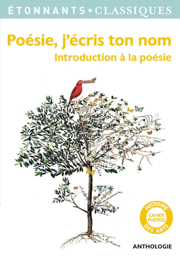 Poésie, j'écris ton nom: Introduction à la poésie 9782081336575