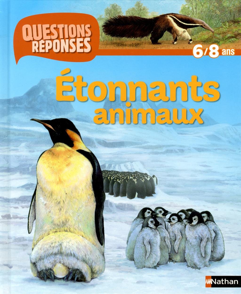 N31 - ETONNANTS ANIMAUX 9782092542842