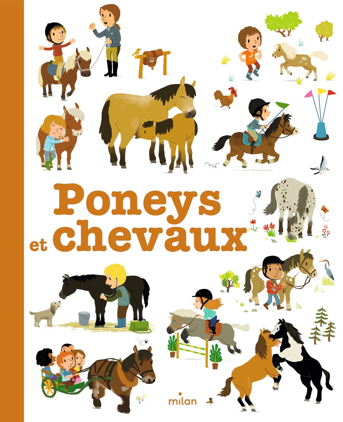 Poneys et chevaux 9782745961693