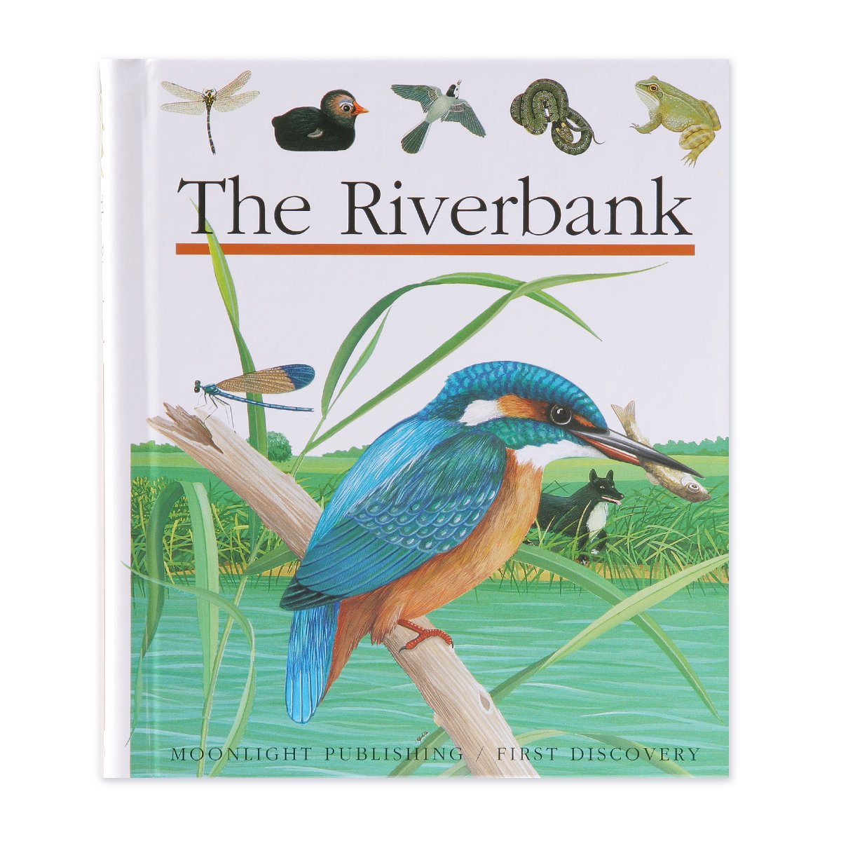 The Riverbank 9781851031702