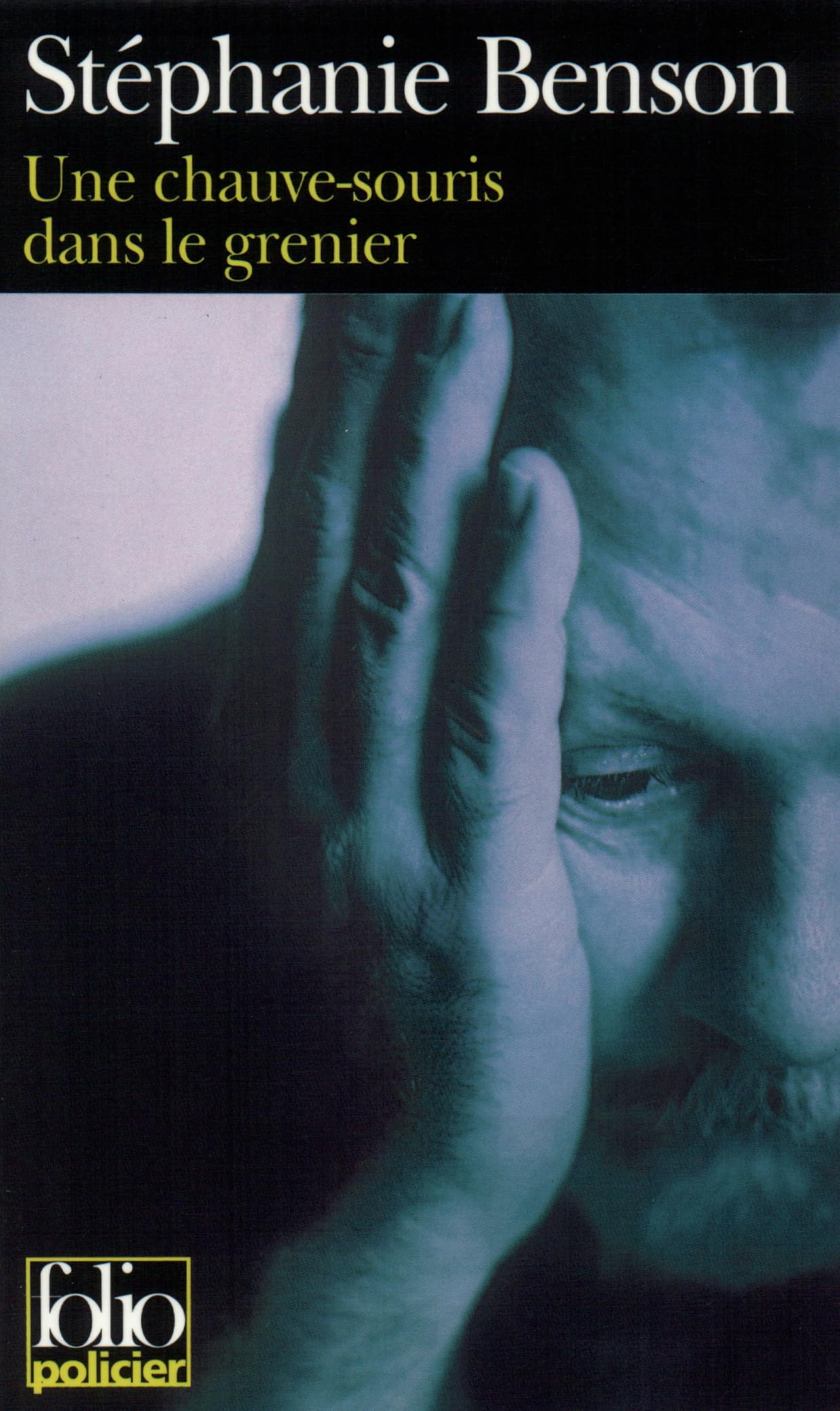 Une chauve-souris dans le grenier 9782070412068