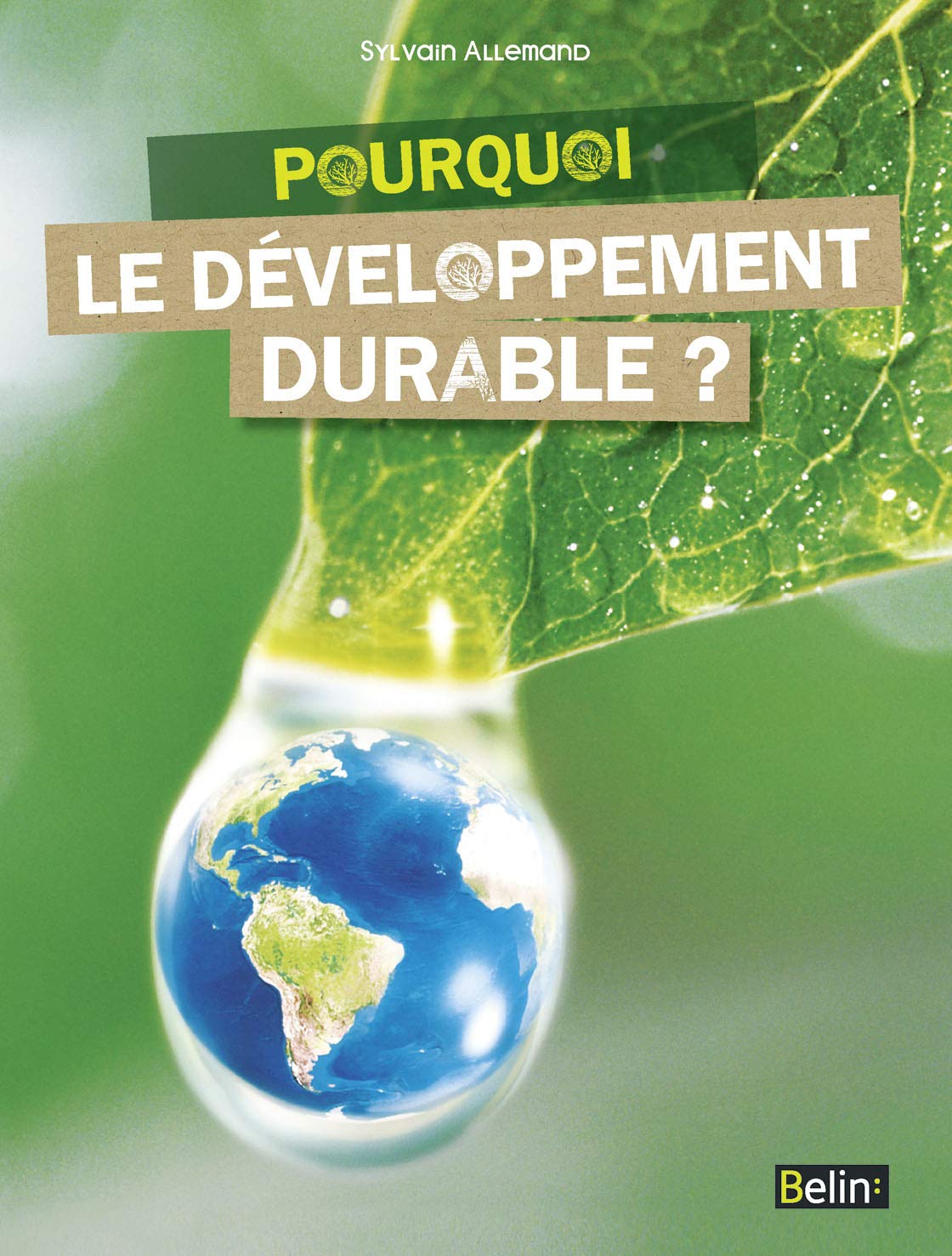 Pourquoi le développement durable? 9782701155678