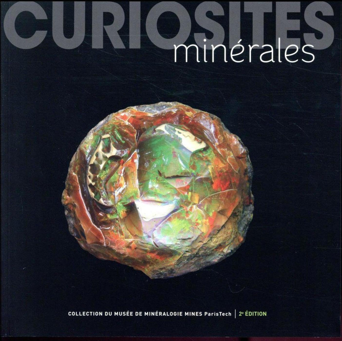 Curiosités minérales: 400 merveilles de la nature 9782916097855
