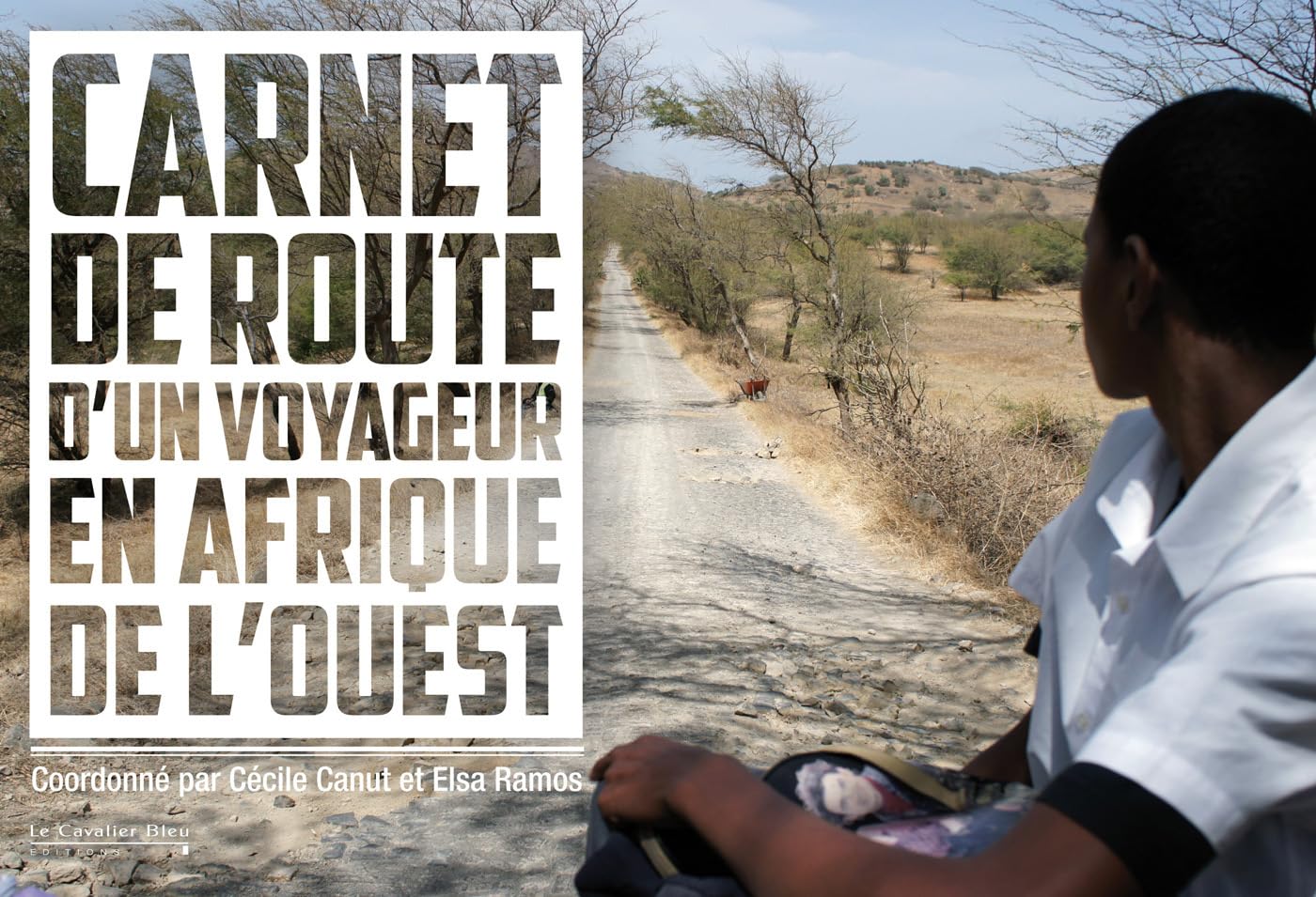 Carnet de route d'un voyageur en afrique 9782846705455