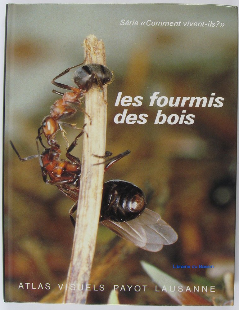 Les fourmis des bois 9782601022155
