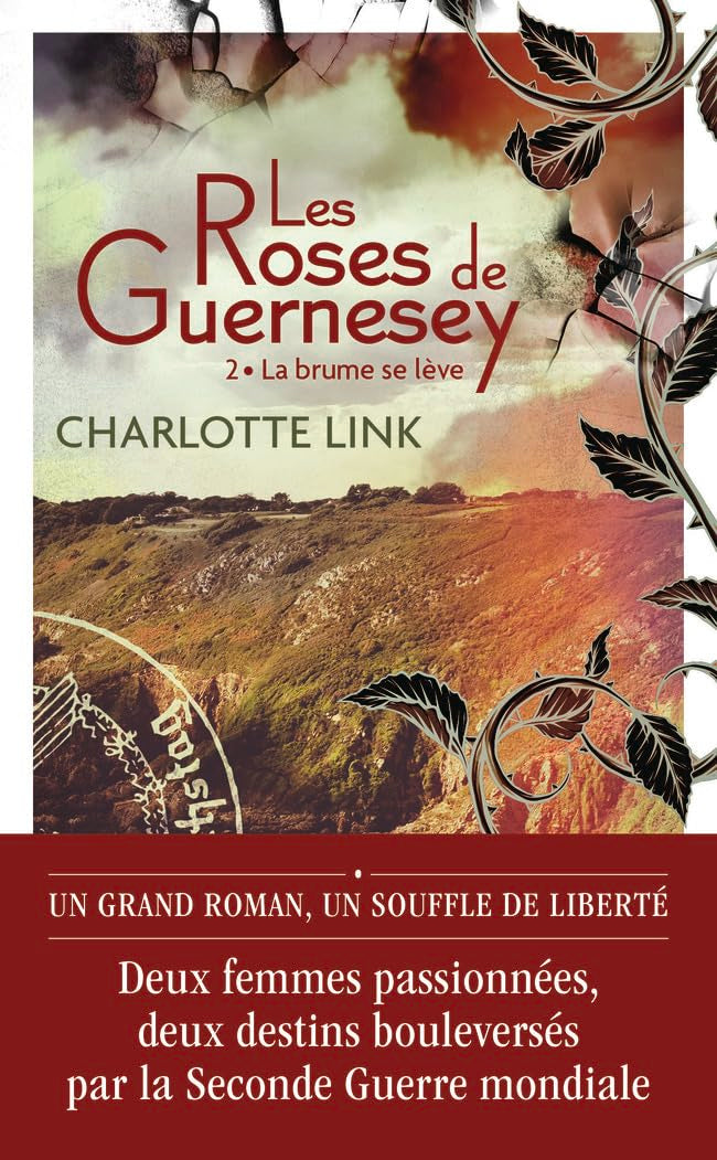 La brume se lève 9782290400890