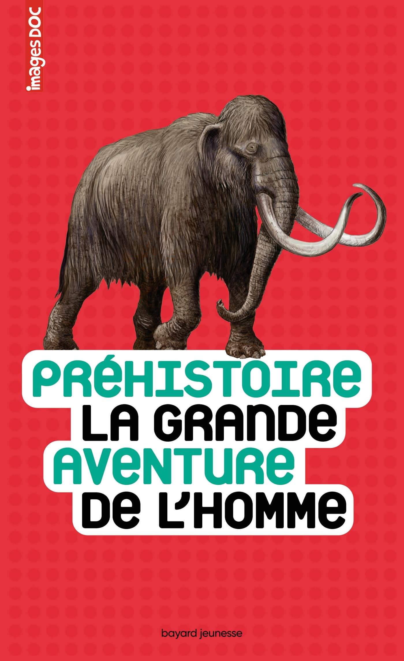 Préhistoire, la grande aventure de l'homme 9782747066341