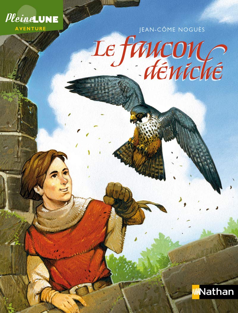 Le faucon déniché 9782092541548