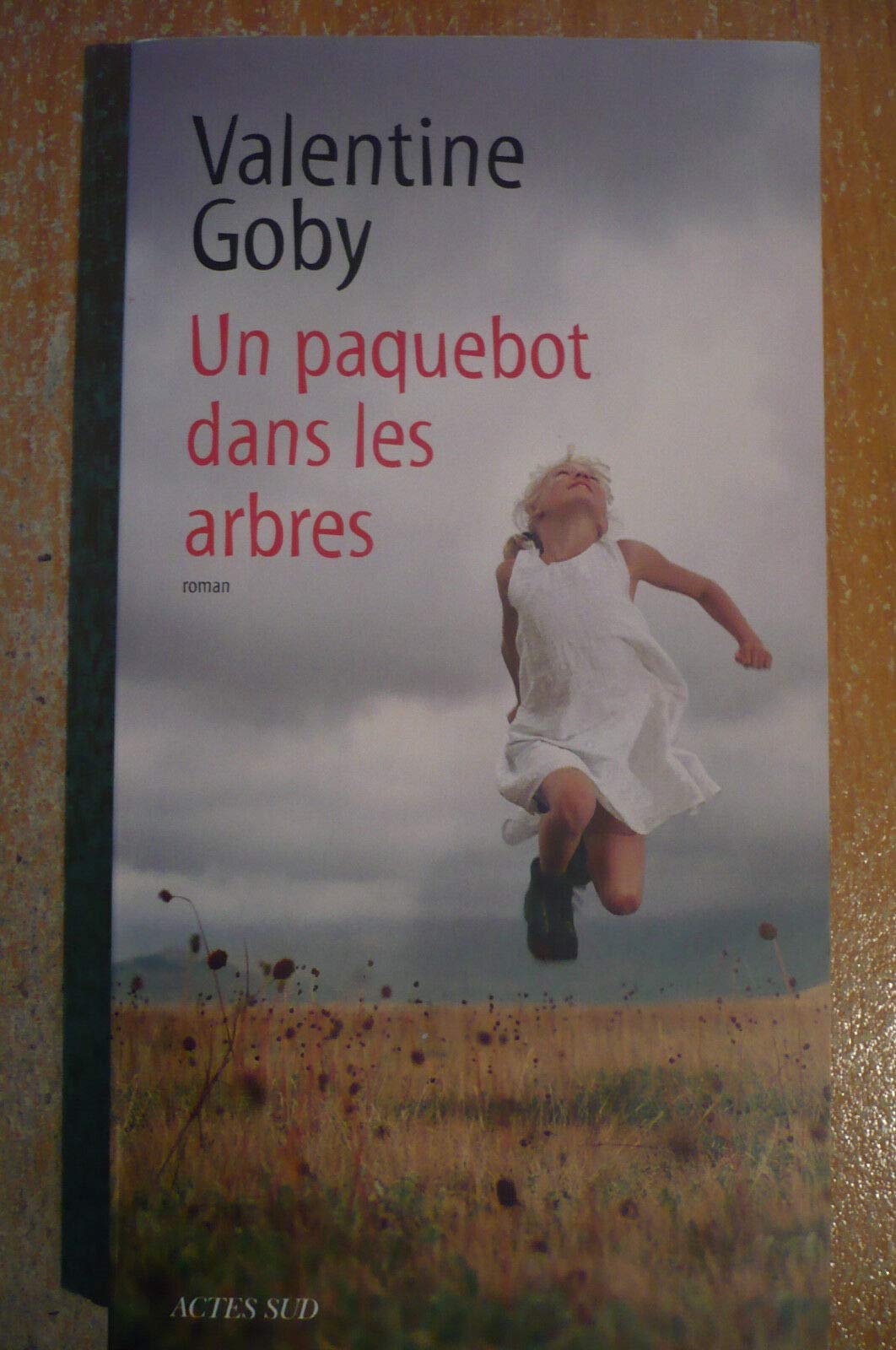 Un paquebot dans les arbres 9782330066482