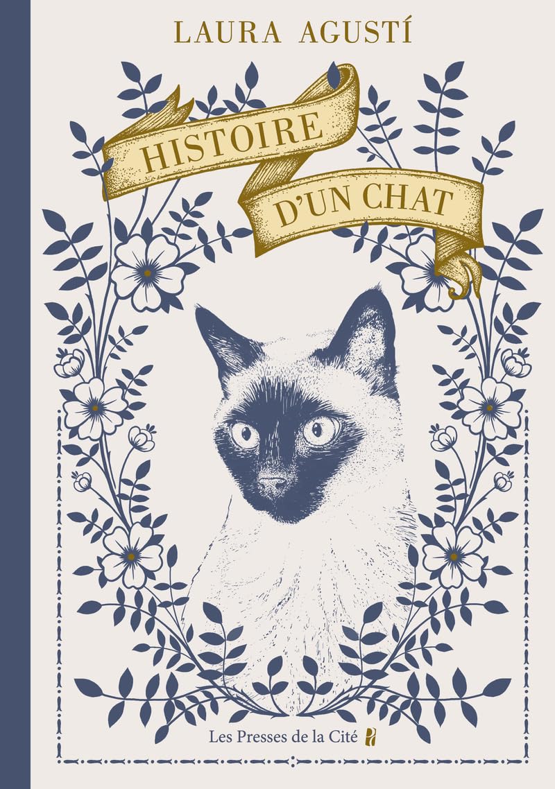 Histoire d'un chat 9782258207080