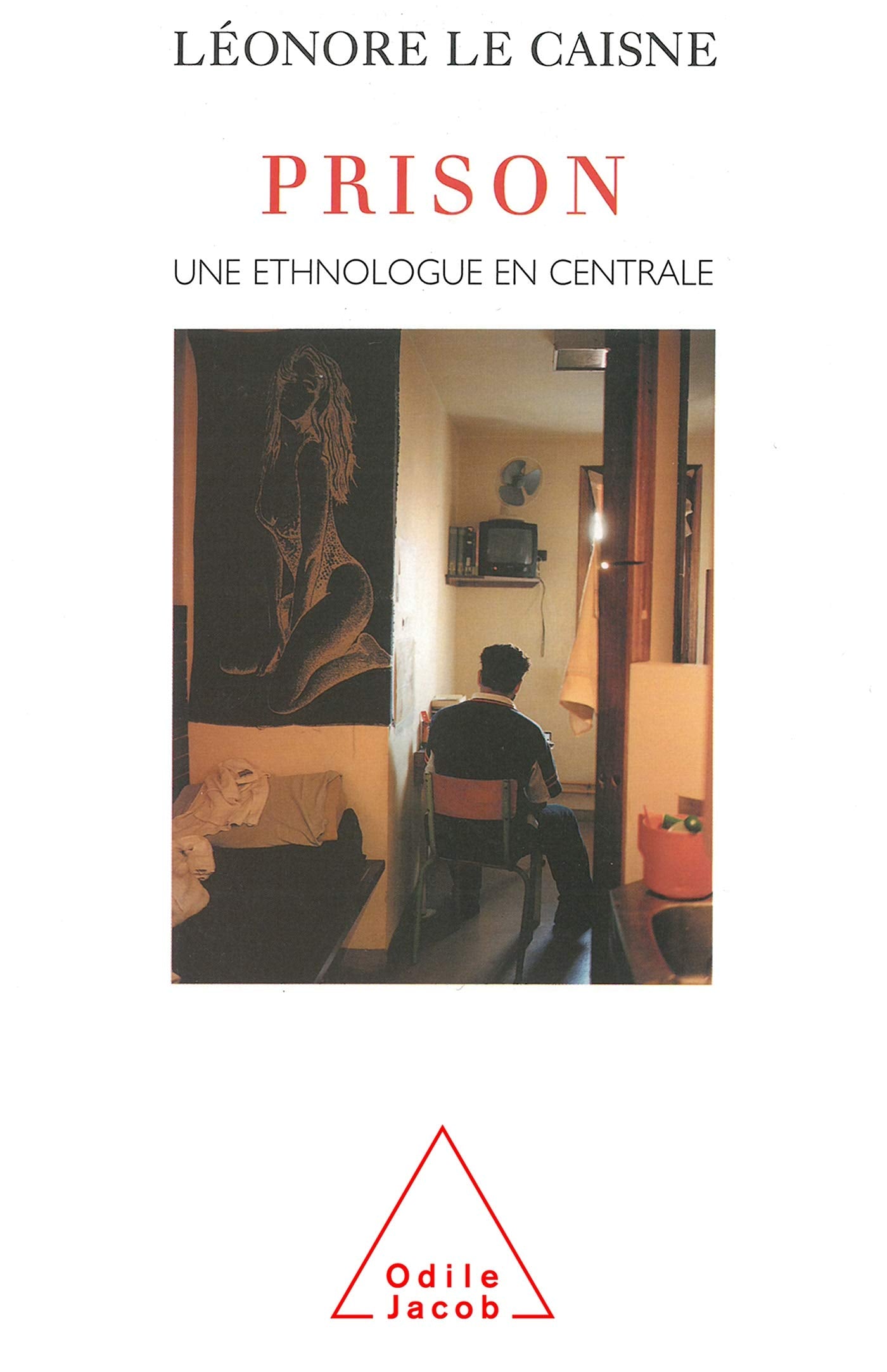 Prison. Une ethnologue en centrale 9782738108753