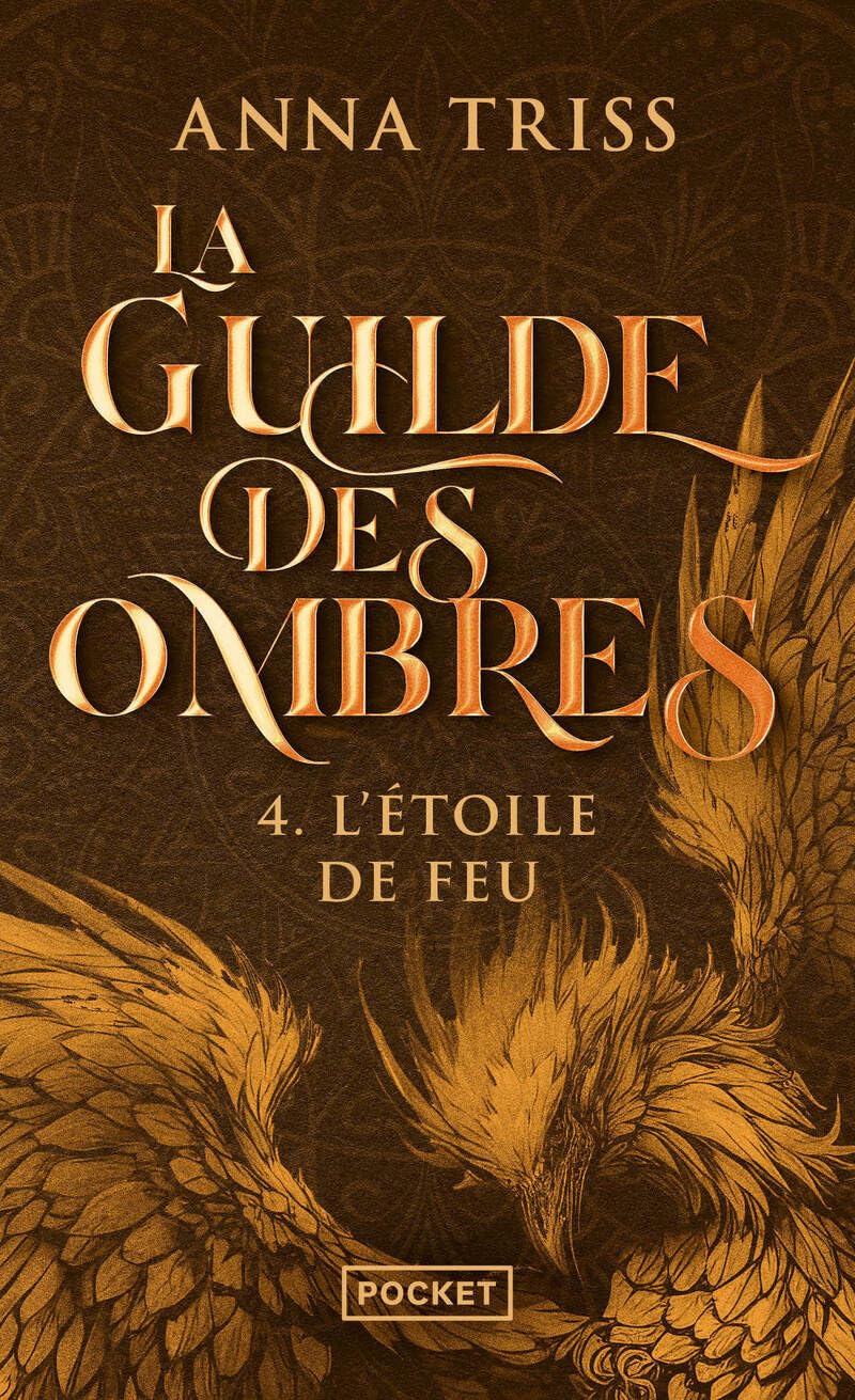 La Guilde des Ombres, tome 4 : L'Étoile de Feu: La Guilde des Ombres, tome 4 (4) 9782266325387