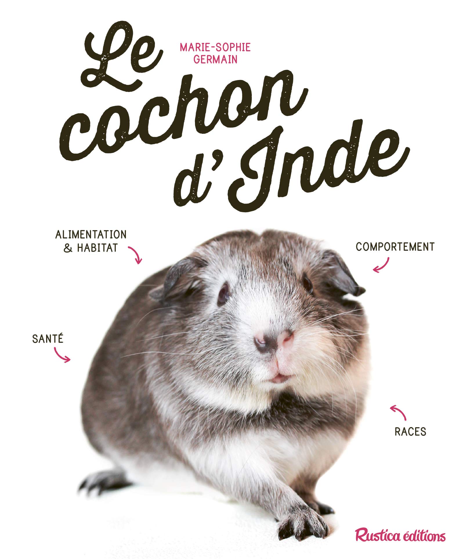 Le cochon d'Inde 9782815311441